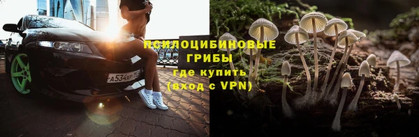 сатива Зеленокумск
