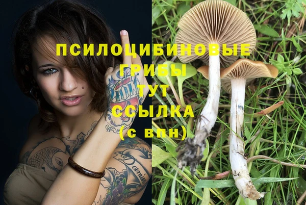 а пвп мука Зеленодольск