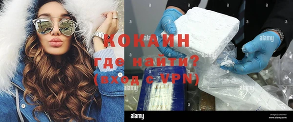 сатива Зеленокумск