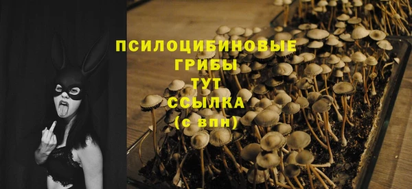 сатива Зеленокумск