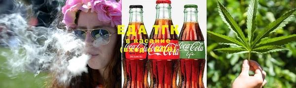 сатива Зеленокумск