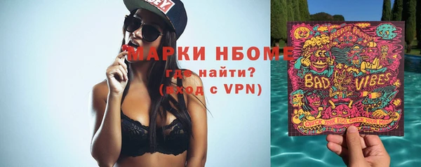 сатива Зеленокумск