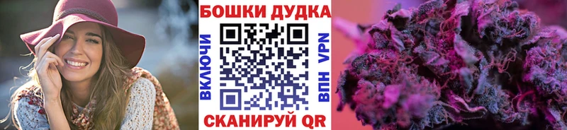 Каннабис сатива Новопавловск
